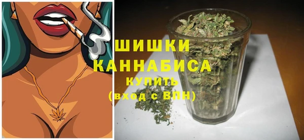 ГАЛЛЮЦИНОГЕННЫЕ ГРИБЫ Арсеньев
