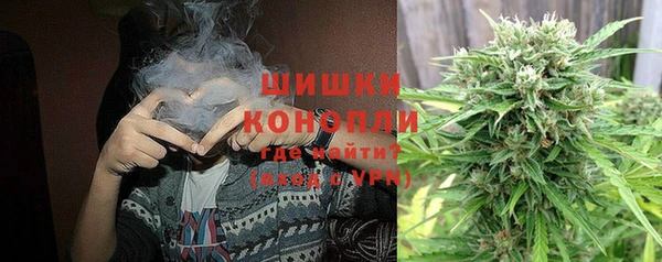трава Аркадак