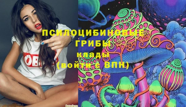 трава Аркадак