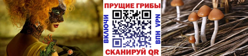 Псилоцибиновые грибы GOLDEN TEACHER  площадка состав  Бобров 